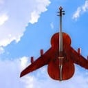 bowplane
