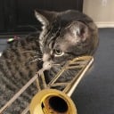 TromboneCat