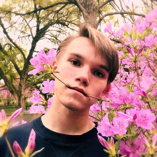 ₲ØĐ o҉f҉ 𝕸𝖚𝖘𝖎𝖈 (A҉p҉o҉l҉l҉o҉)