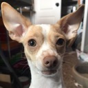 SimplyShadow17