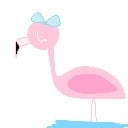 flamingo music
