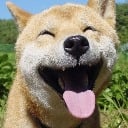 PuppyLover45