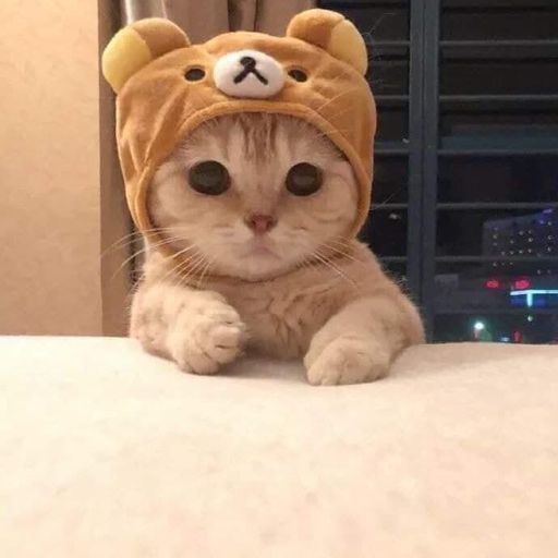 boopie