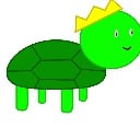 TurtleBro