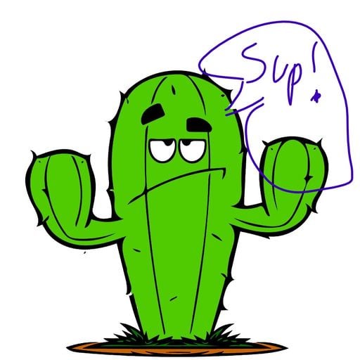 theragingcactus96
