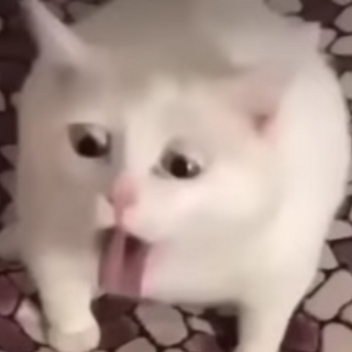 e3