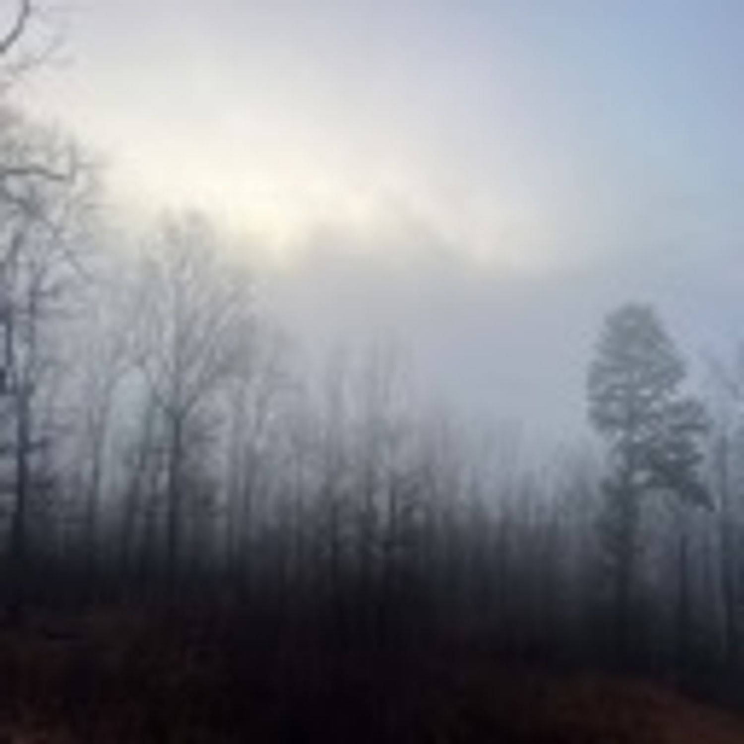 Hudson Cave