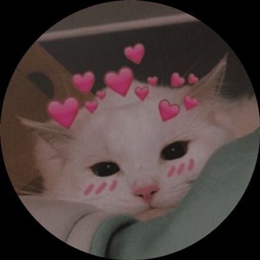 CreepyCat_0529 ⚔️