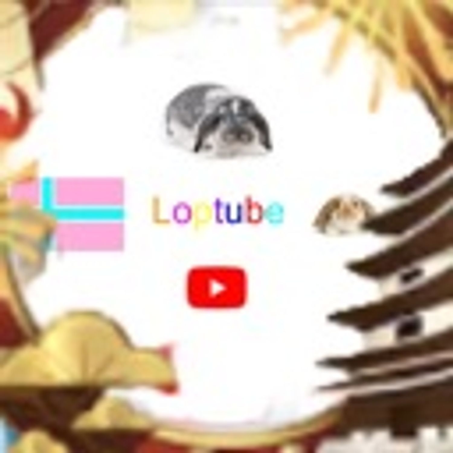 Loptube