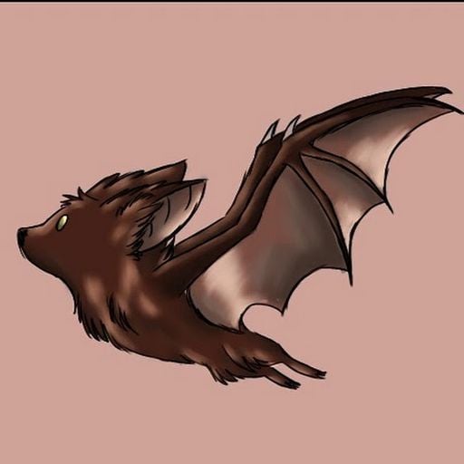 Bat’s symphony