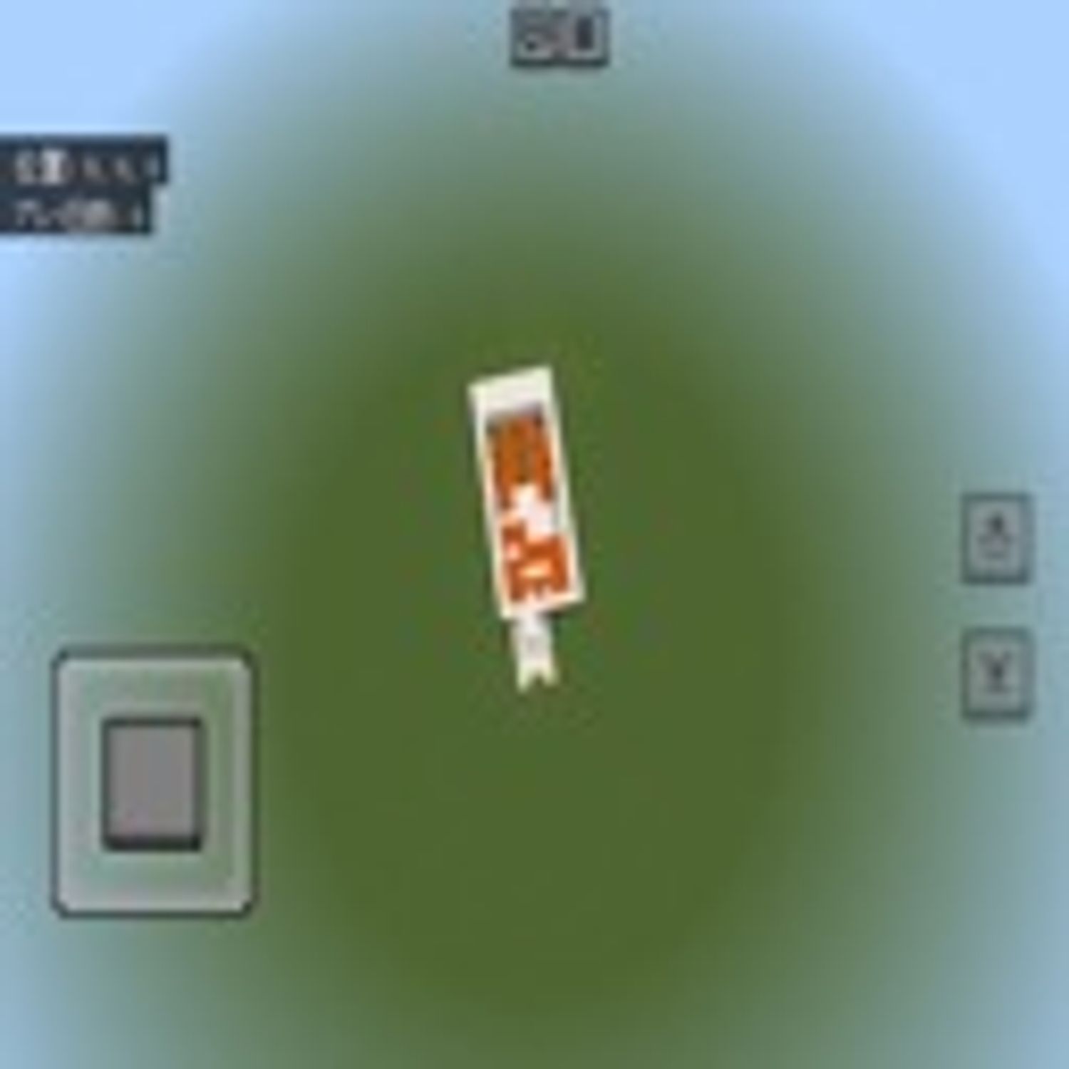 Sado310ヶ島