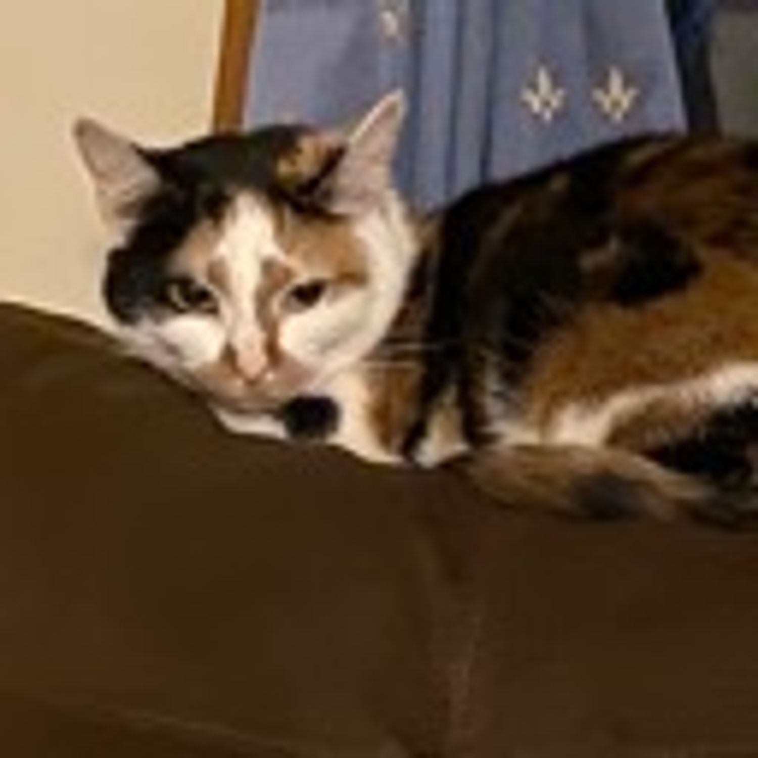 Rush E for Bb Sheet music for