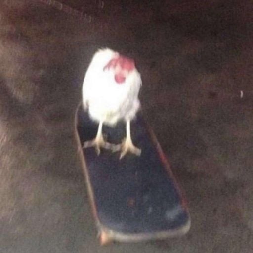 master cluck
