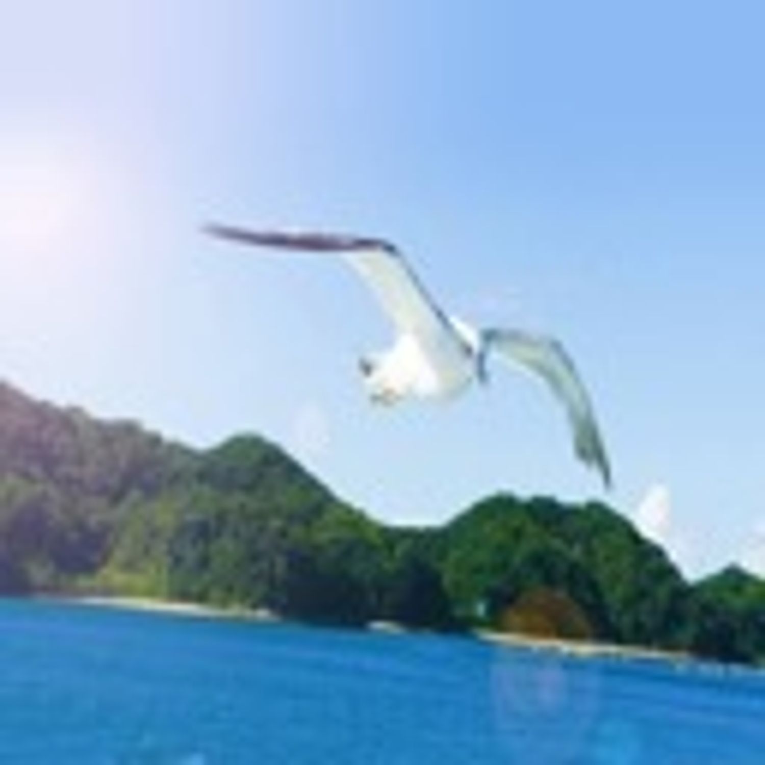 董 思源
