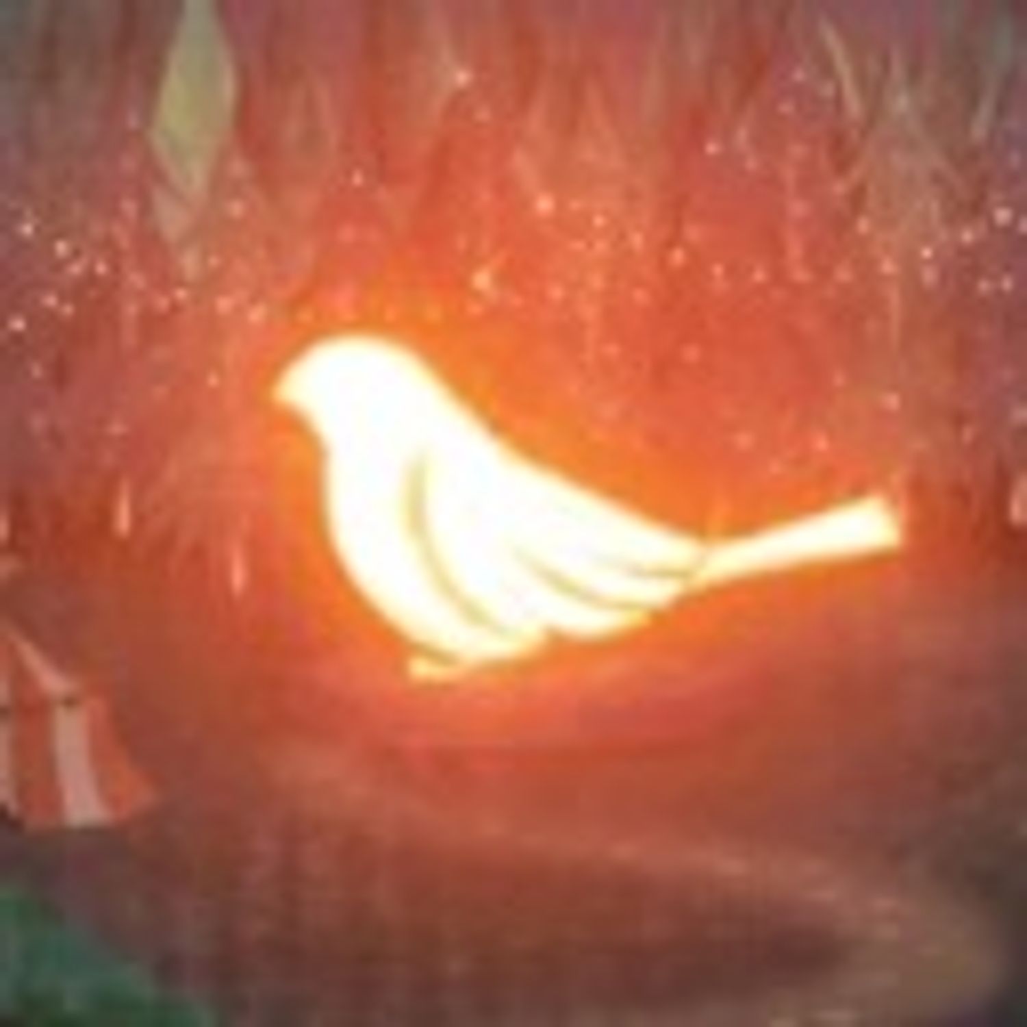 nikuaji