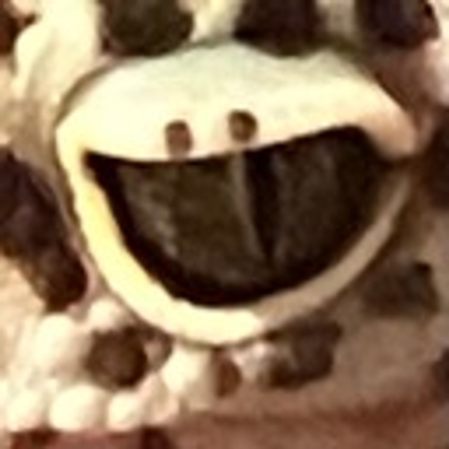 MYR