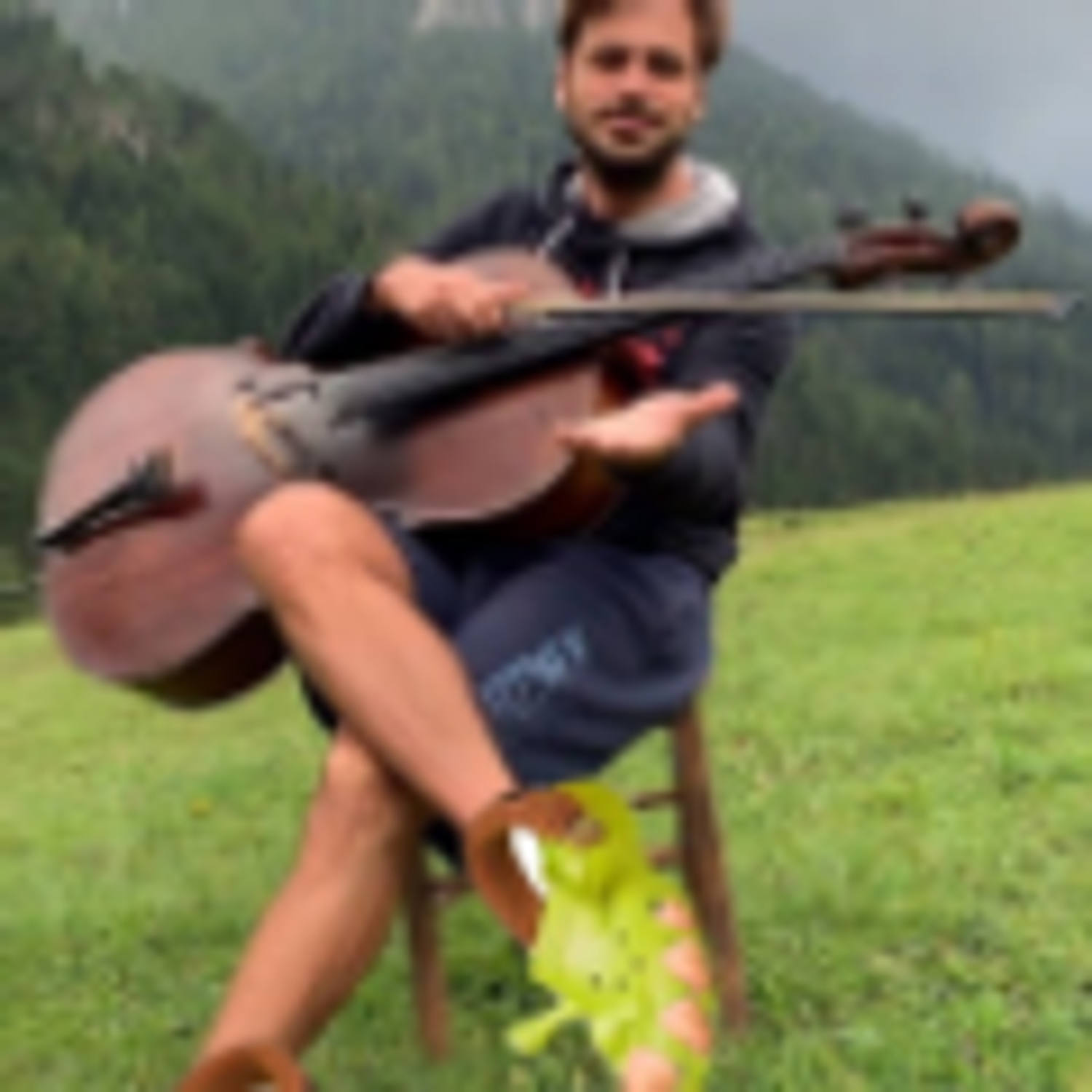 Chadifer