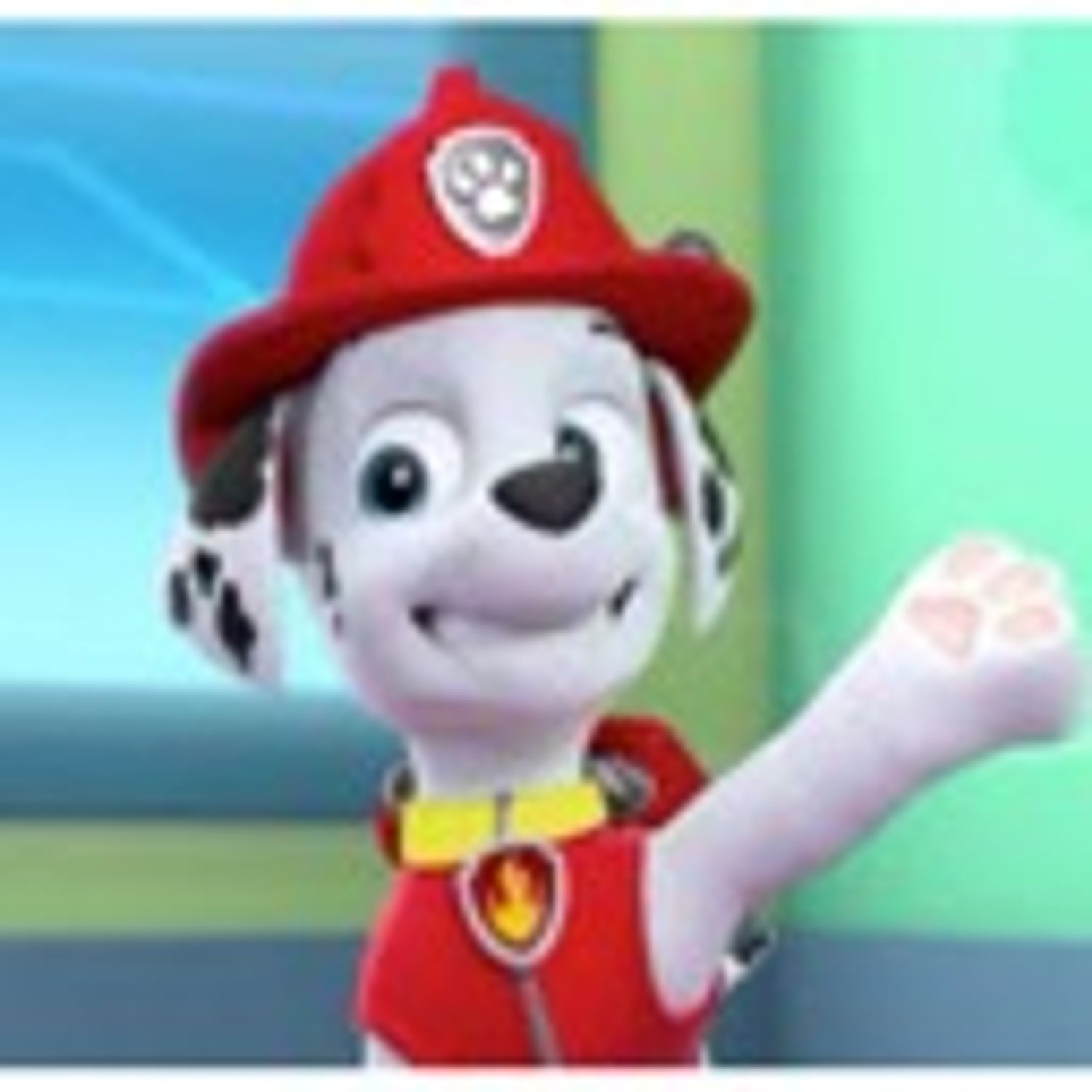 paw patrol
