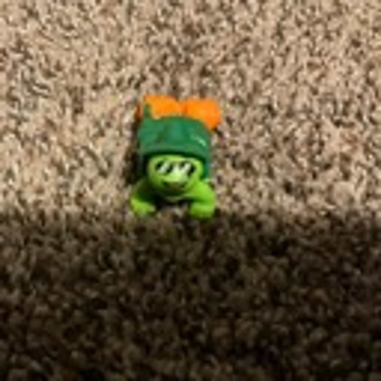 adventure turtle