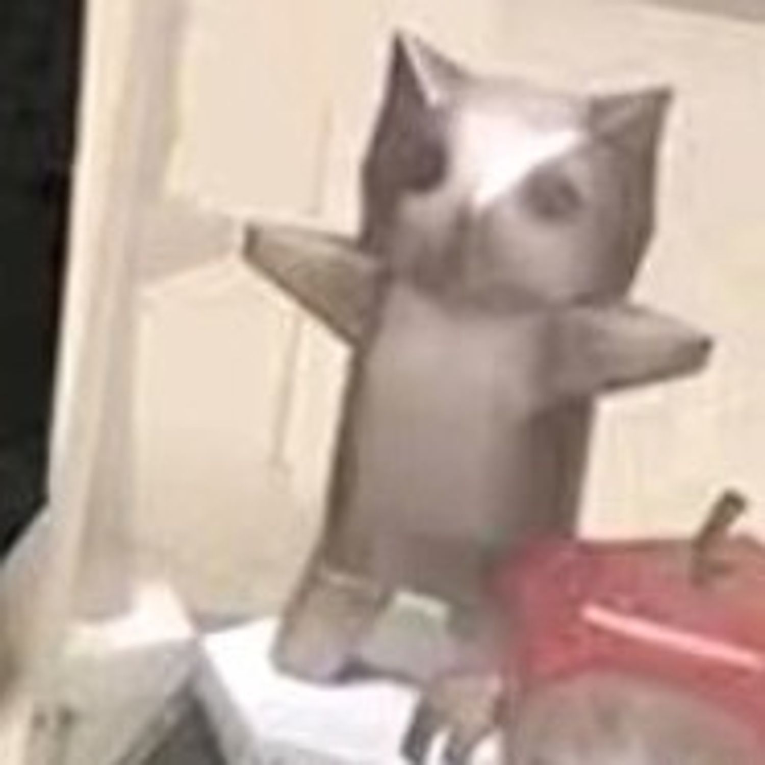 あきら