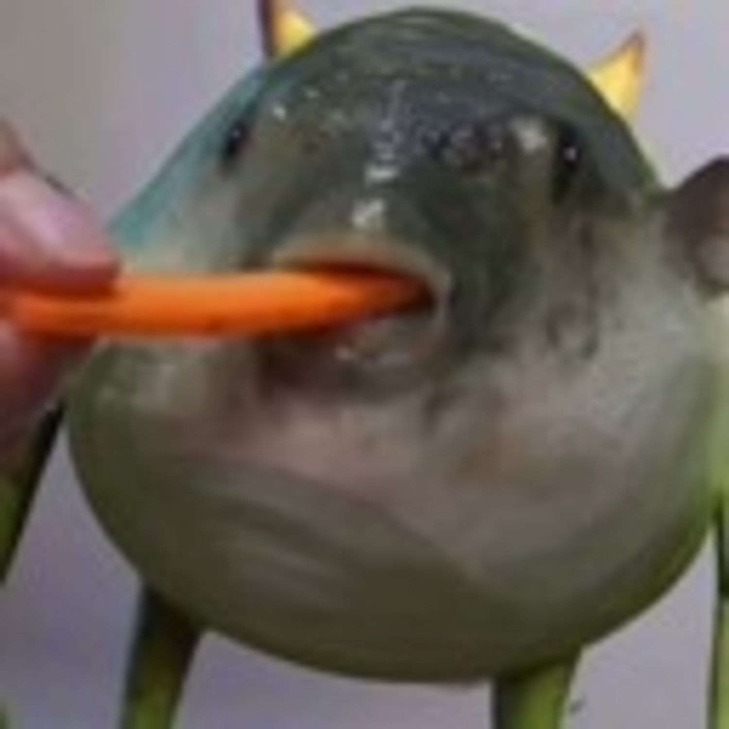 𝙵𝙰𝙻𝙻𝙴𝙽𝚁𝙴𝙲𝙾𝚁𝙳𝚂