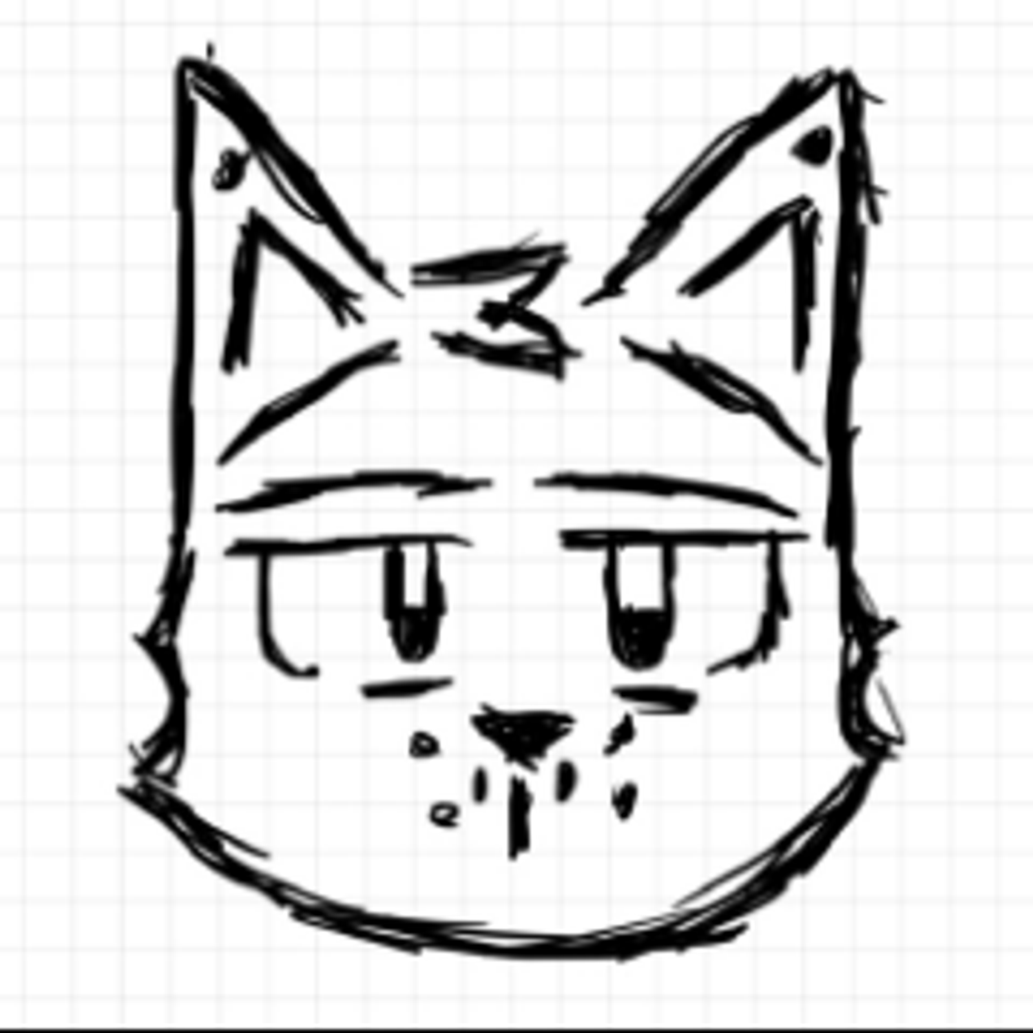 SILLY_CAT