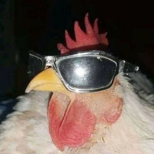 #Wyatt Fields# (Chicken man)