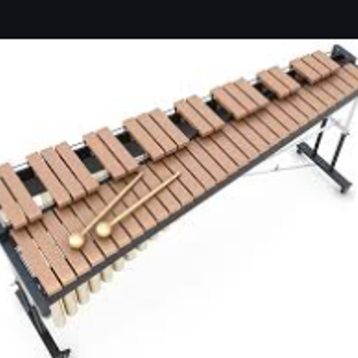 Percussion guy